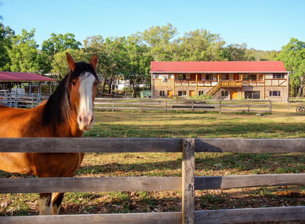 Pilliga Pottery Creative Farmstay Coonabarabran Phòng bức ảnh